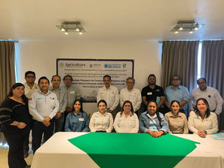 *Impulsa Tamaulipas acciones estratégicas para la pesca sustentable del camarón*