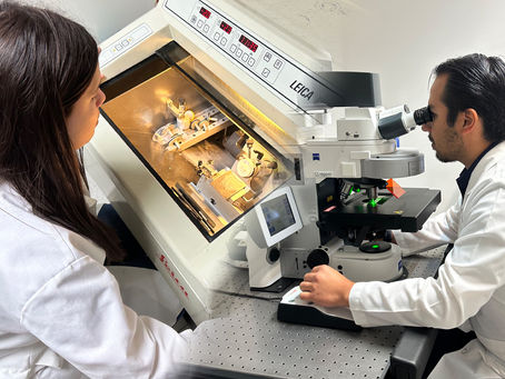 La UAT posiciona su liderazgo en investigación con impacto social