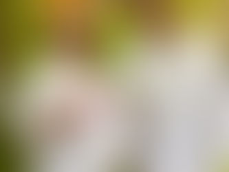 Participación de las juventudes, necesaria para la construcción de políticas en la agenda pública