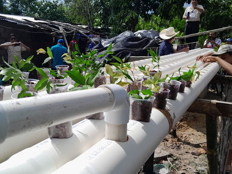 Gobierno Municipal promueve la acuaponía a través de la acuacultura