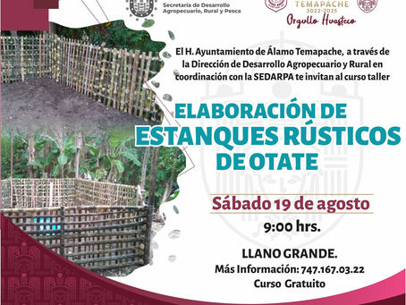 Ayuntamiento promueve capacitación para la construcción de estanques rústicos de otate