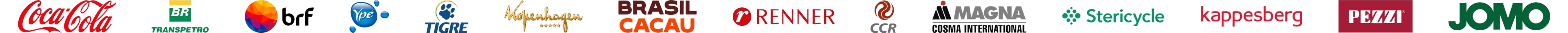 Clientes: Coca-Cola, Transpetro, BRF, Ypê, Tigre, Kopenhagen, Brasil Cacau, Renner, CCR, Magna, Stericycle, Kappesberg, Pezzi, Jomo