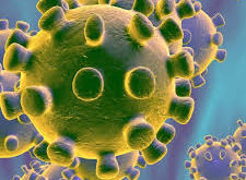 Коронавирус – етеричните масла са подходящи за превенция при вирусни инфекции  