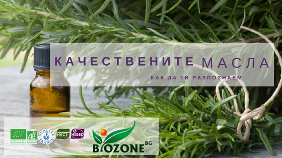БЛОГ | biozone