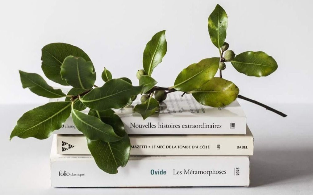 КУРС ГЕМОТЕРАПИЯ - ЧАСТ 1