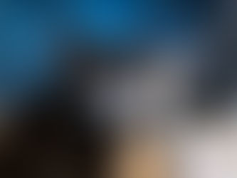 Cat cafe: Popoki and Tea