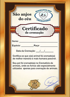 Certificate-de-cremação-pet