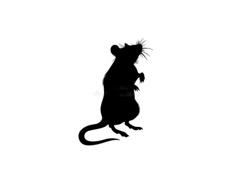 diamante-pet-crematorio