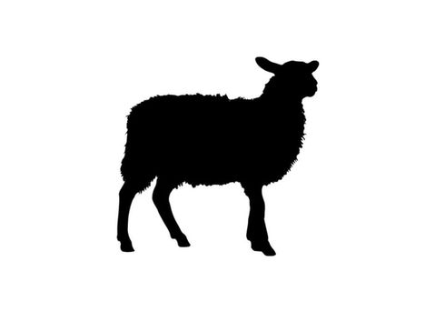 diamaante-pet-crematorio