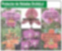 Protector de Heladas Orchid
