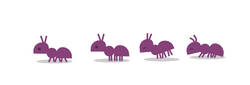 Ant Animation