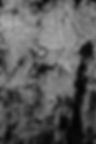 texture__MG_8729