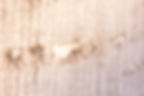 texture__MG_8717