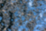 POAA reflet