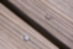 texture_Miami_2014_04_30_2843
