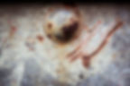 texture__MG_8734