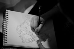 firstartstep_043bd__MG_7258