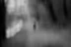 arbre_IMG_0549