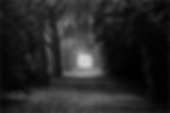 dark2