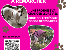 Une prothèse pour changer leur vie