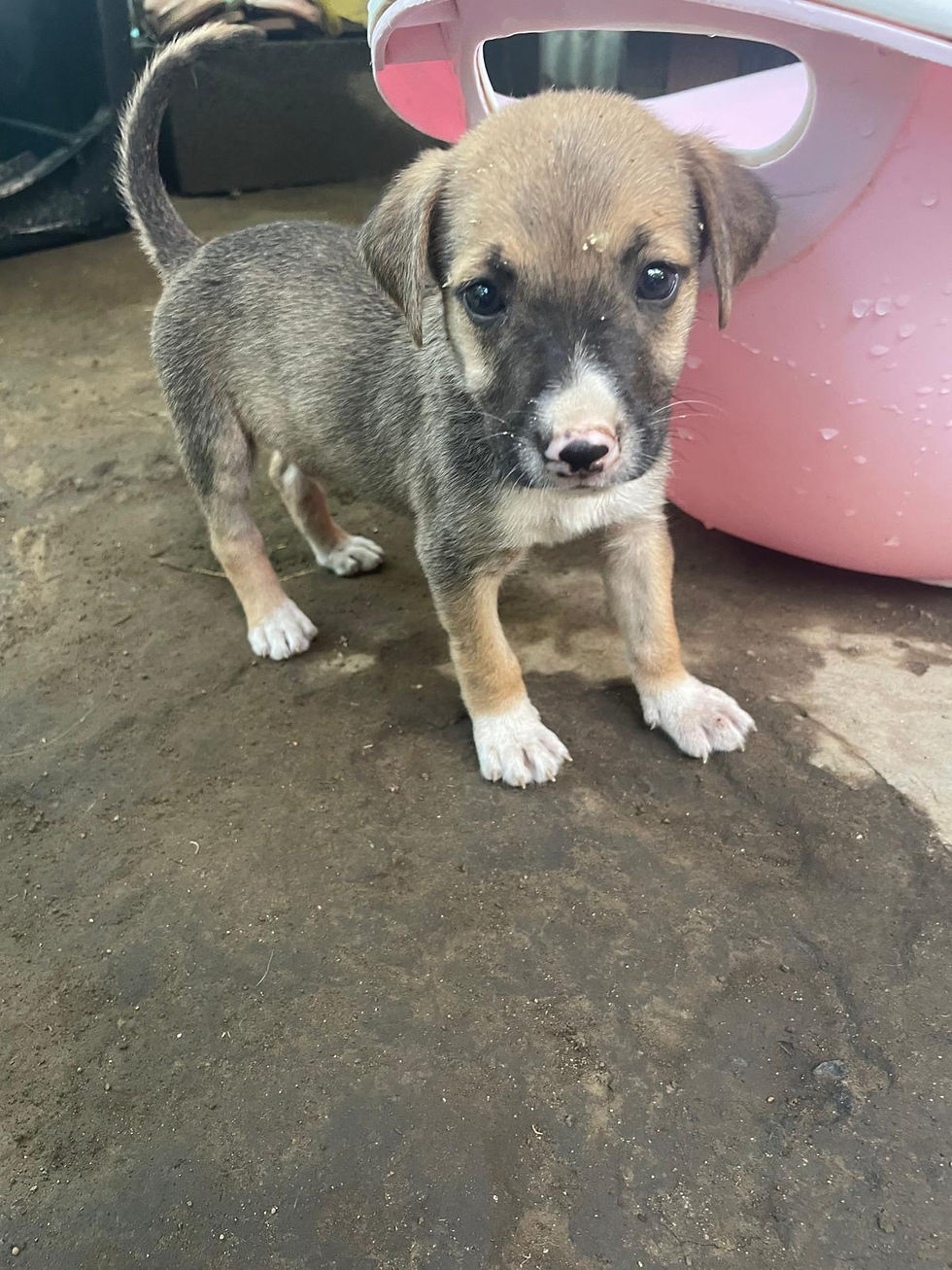 WhatsApp Image 2026-03-14 at 22.14.59