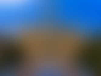 Dining in Vienna, Austria