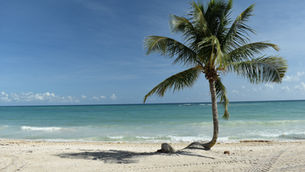 Managing Cancun Airport