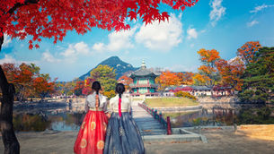 Navigating the Land of Morning Calm: South Korea Travel Savvy
