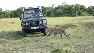 Africa - Easier to Get to Than You Think!