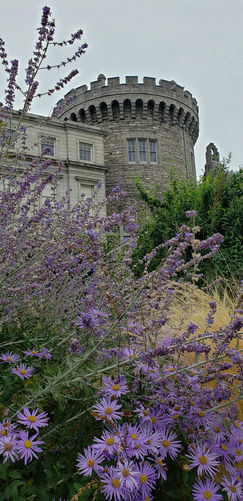 Ireland and Northern Ireland