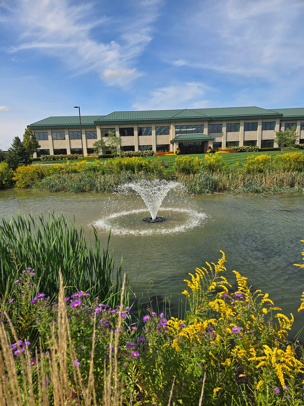 The Benefits of Adding a Fountain to Your Pond