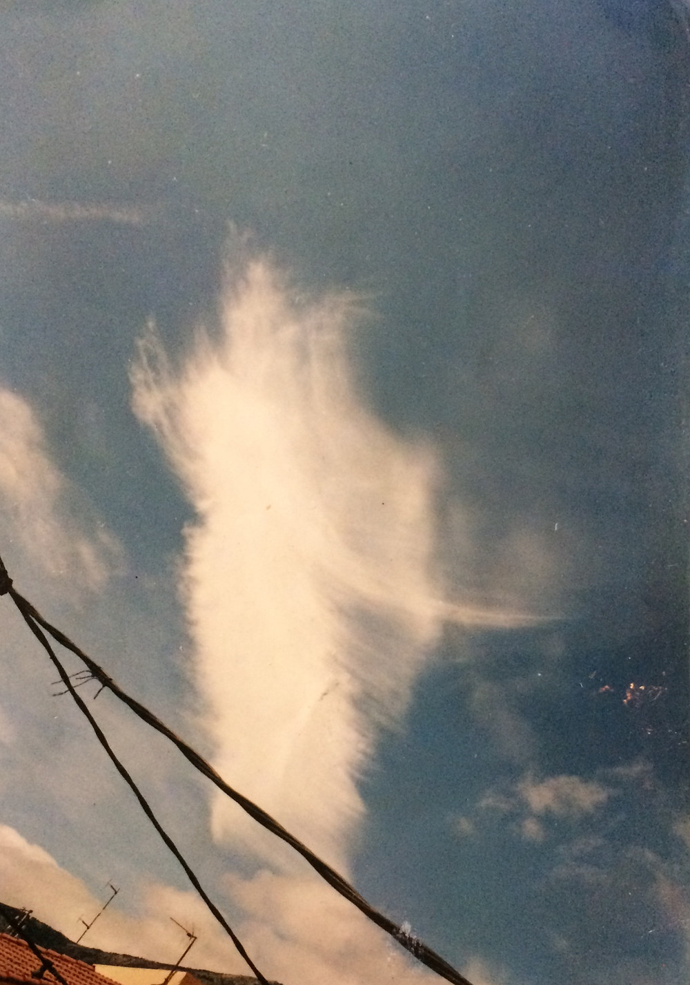 nube-forma-de-samurai-aikido-cuidelcuerpo-mariano-maradei