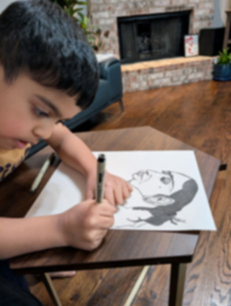 Drawing & Painting 4 Days | 6 Artworks | 6 Mediums Age 5-12 July 27-30