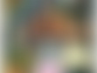 Falakarts Student of the Month Award goes to Ms. ANANYA RAM