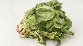A bundle of wilting lettuce limply lies on a white surface