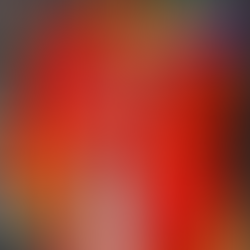 A Black woman with fair skin wears a bold orange costume covered with feathers. She holds a staff almost as tall as ahe is also covered with orange feathers and beads. 