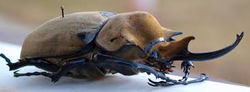images (14)