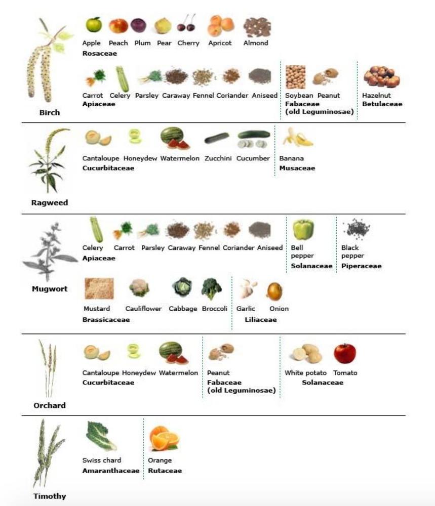 CrossReacting Foods, The Oral Allergy Syndrome or “Why do bananas make
