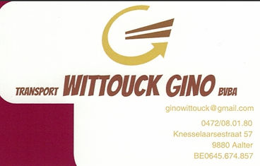gino wittouck.jpeg