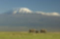 Kilimanjaro self 1.jpg