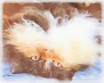untitled image