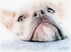 untitled image