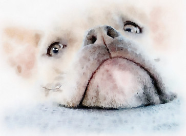 untitled image