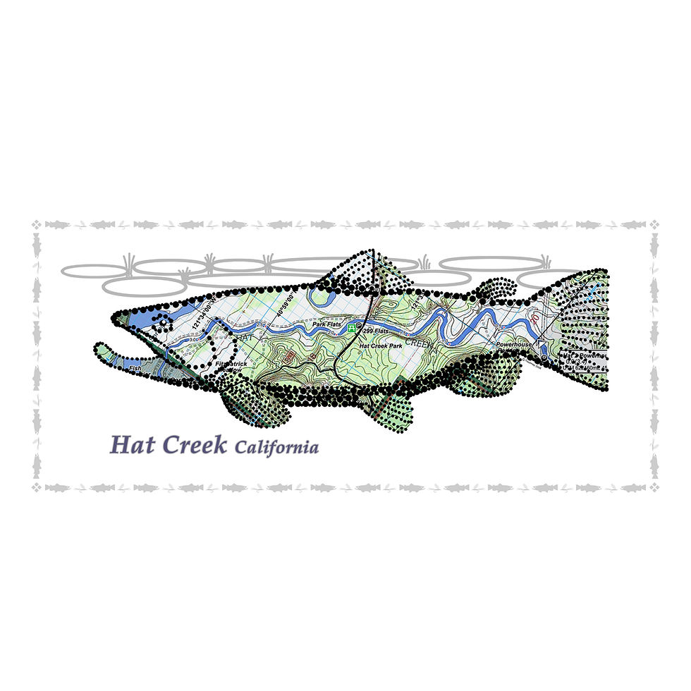 Hat Creek Fish Poster website