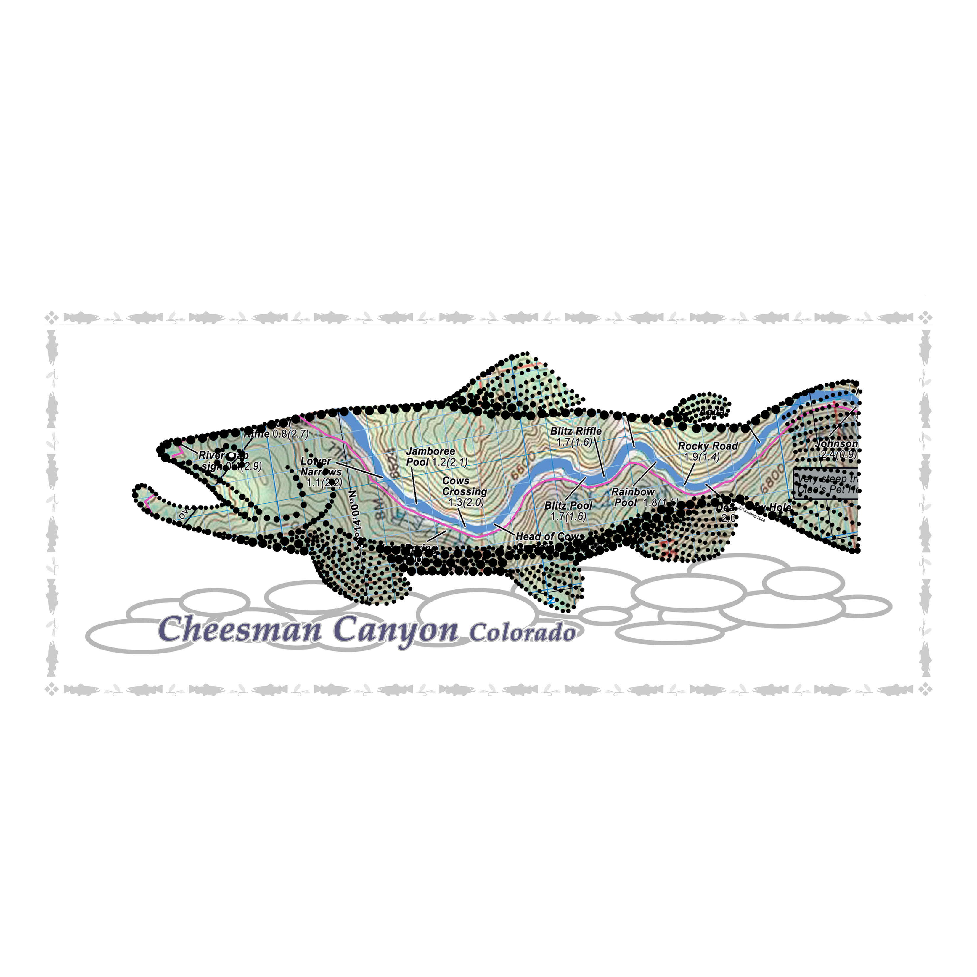 South Platte River Fish Poster