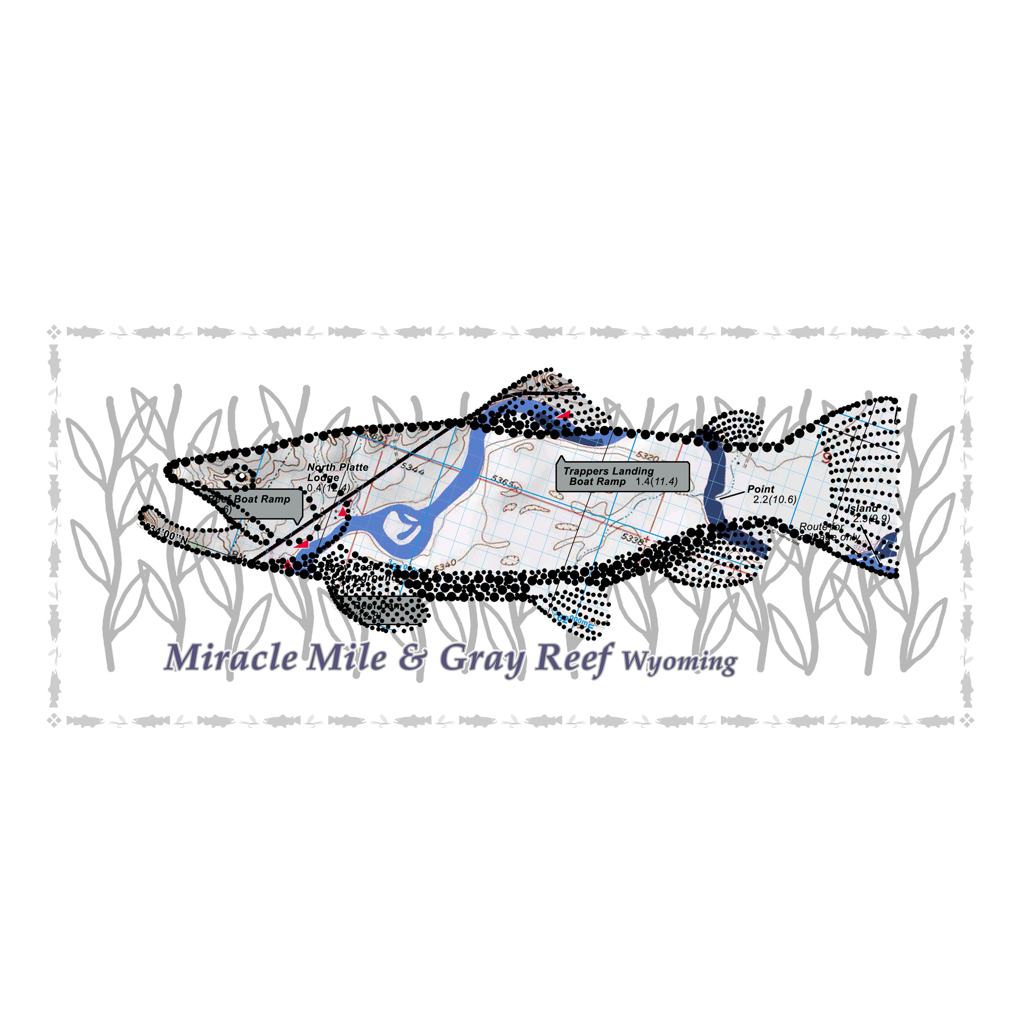 North Platte River Fish Poster