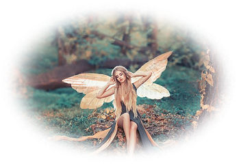 fairypic2.jpg