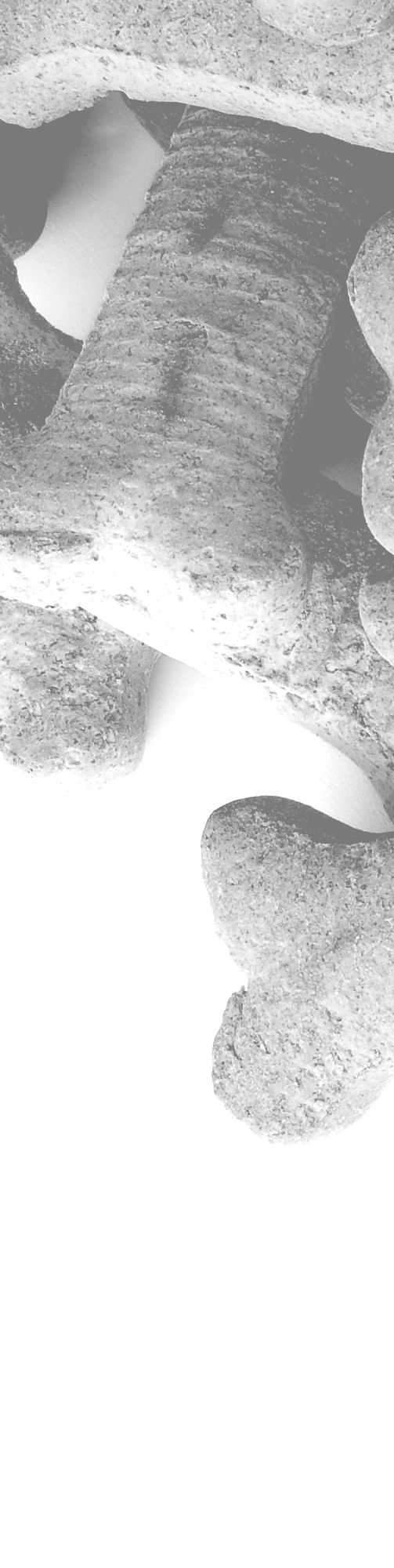 Bone Cookies