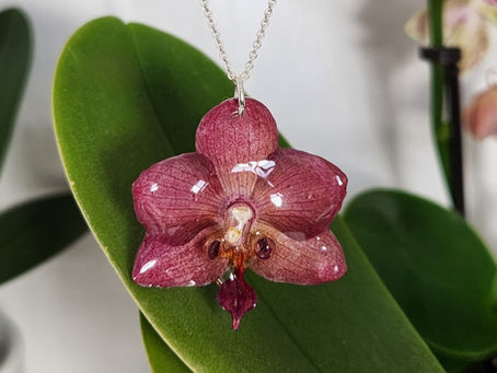 Preserving Flowers with UV Resin: A Step-by-Step Guide