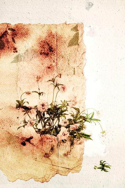 이은주 (1)resize.JPG